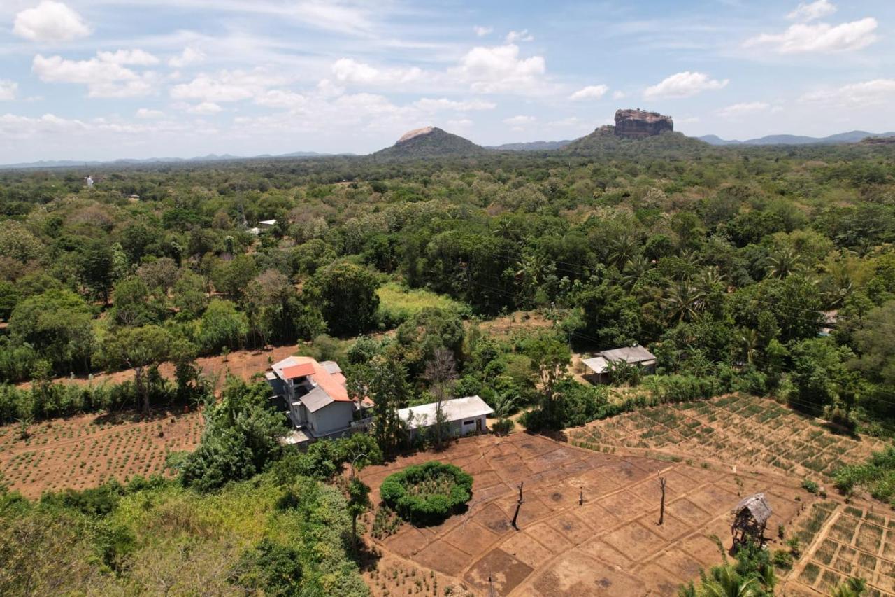Sigiriya Sun Shine Villa מראה חיצוני תמונה