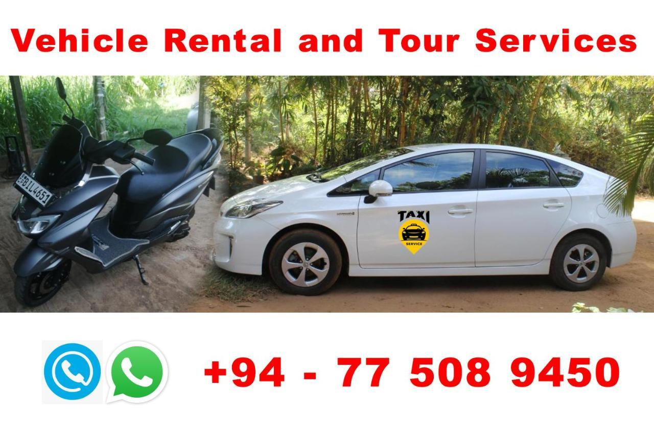 Sigiriya Sun Shine Villa מראה חיצוני תמונה