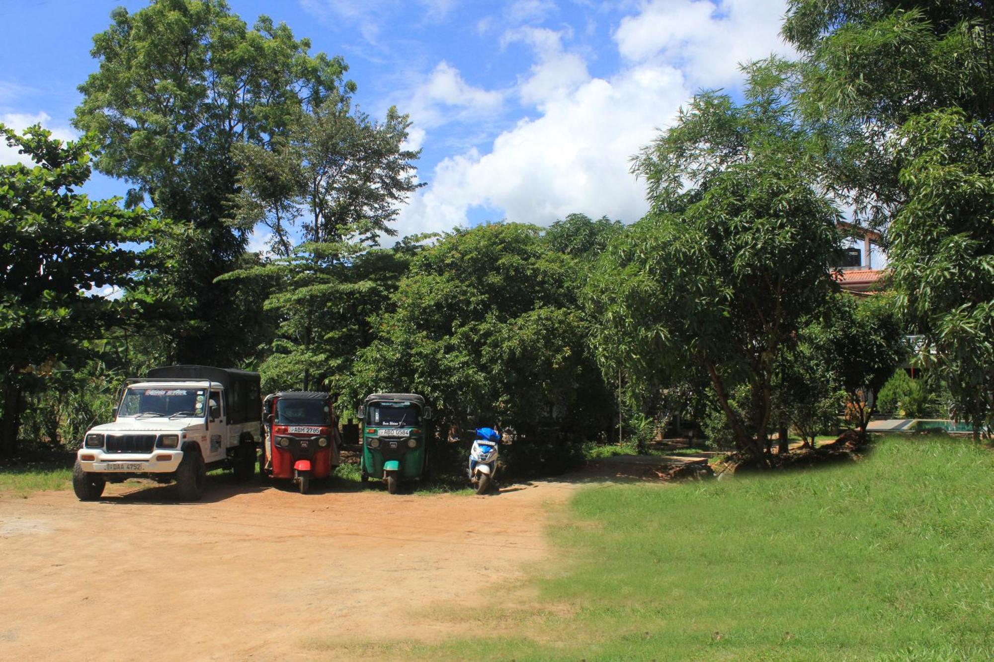 Sigiriya Sun Shine Villa מראה חיצוני תמונה