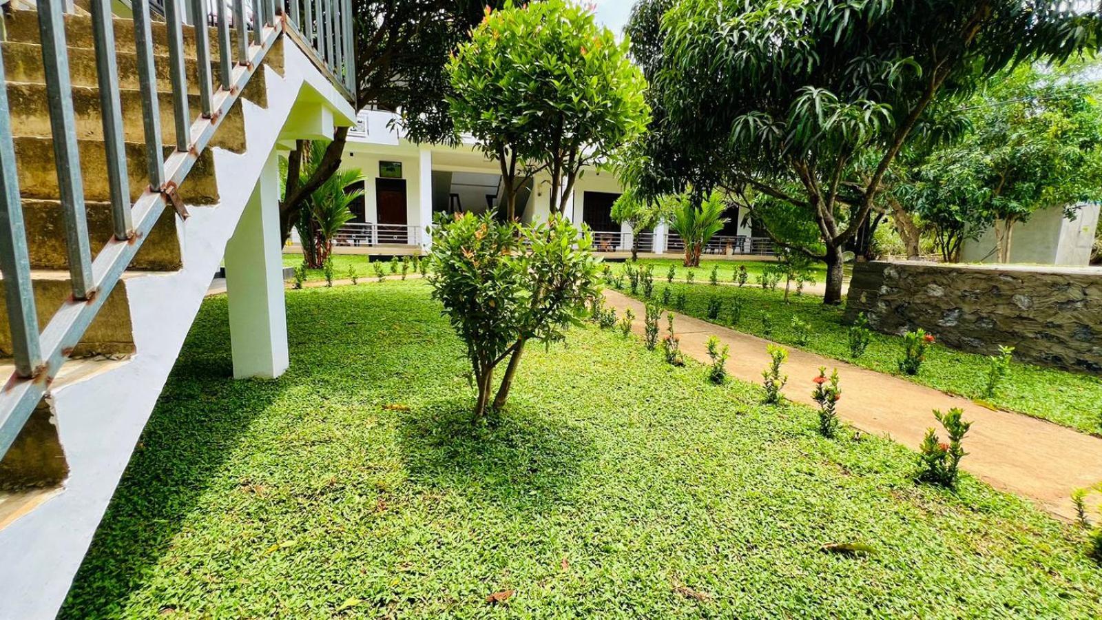 Sigiriya Sun Shine Villa מראה חיצוני תמונה