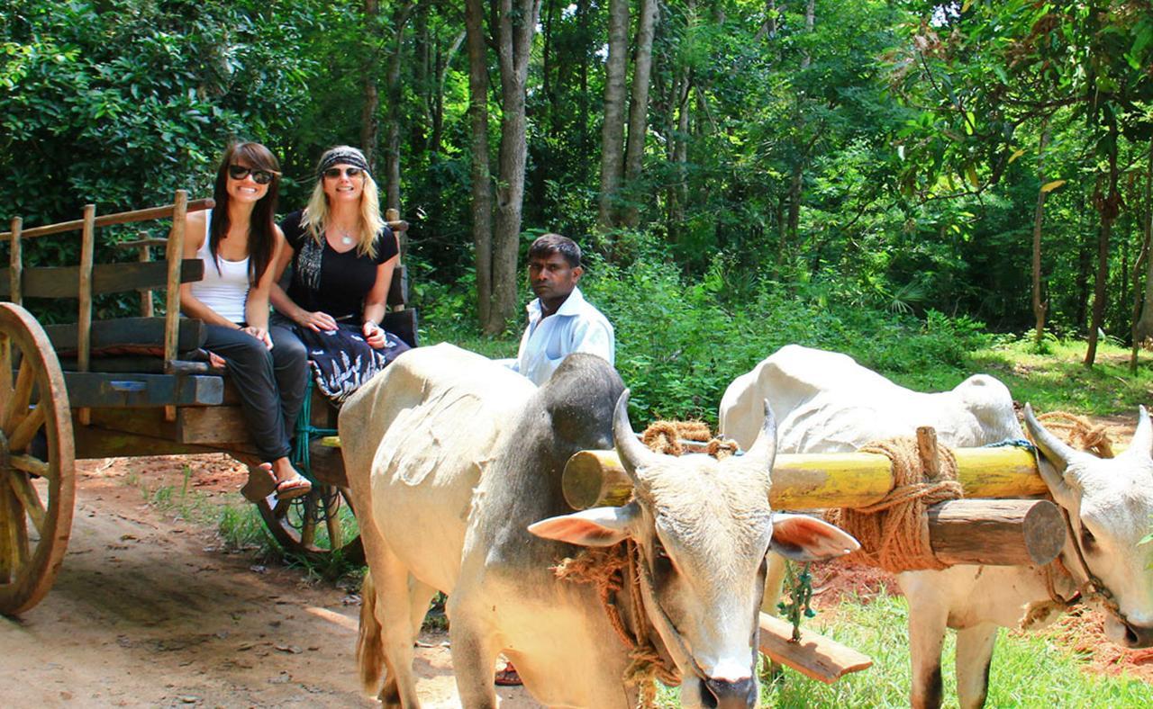 Sigiriya Sun Shine Villa מראה חיצוני תמונה